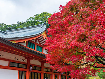 霧島神宮の紅葉