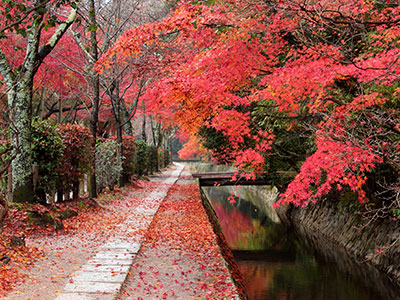 哲学の道の紅葉