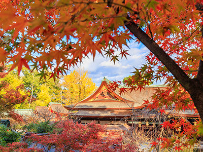 北野天満宮の紅葉