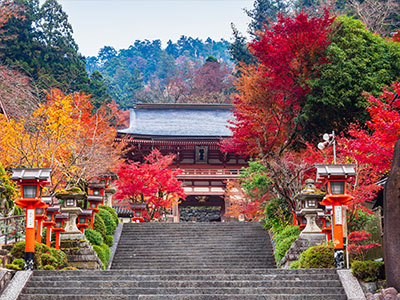 鞍馬寺の紅葉