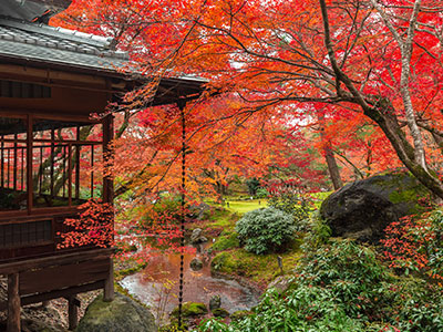 宝厳院の紅葉