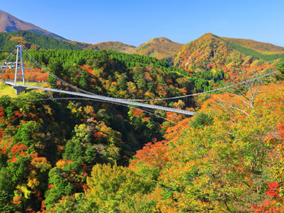 九重夢大吊橋の紅葉