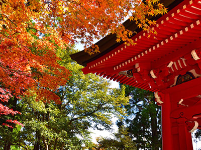 延暦寺の紅葉