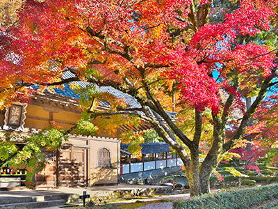 永源寺の紅葉