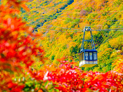 立山・黒部アルペンルートの紅葉