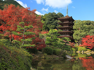 瑠璃光寺の紅葉