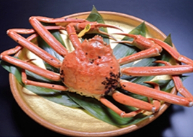 越前田村屋