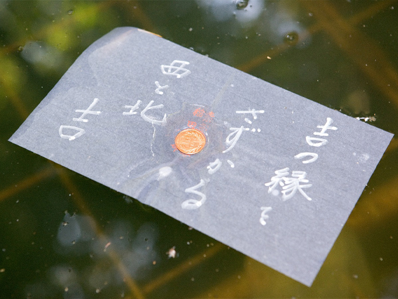 八重垣神社　鏡の池の縁占い