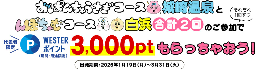 WESTERポイント3,000ptもらっちゃおう！