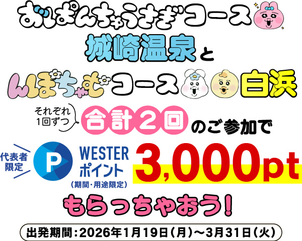 WESTERポイント3,000ptもらっちゃおう！