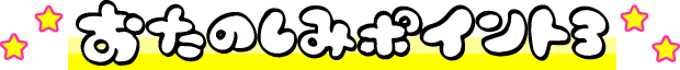 おたのしみポイント3