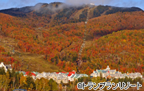 紅葉