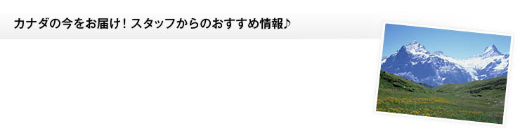 カナダの今をお届け!スタッフからのおすすめ情報♪