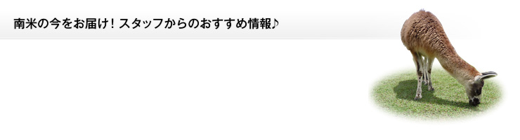 南米の今をお届け!スタッフからのおすすめ情報♪