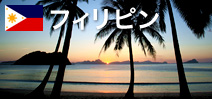 �t�B���s��