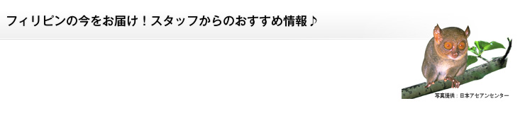 フィリピンの今をお届け!スタッフからのおすすめ情報♪