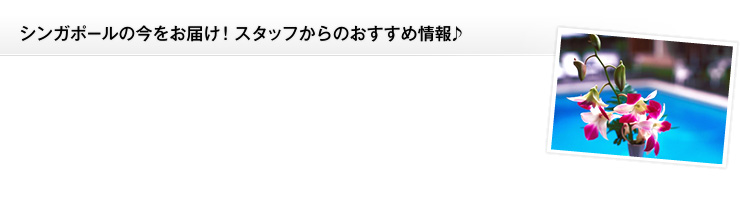 シンガポールの今をお届け!スタッフからのおすすめ情報♪