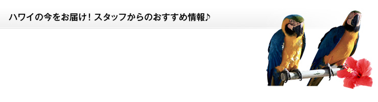 ハワイの今をお届け!スタッフからのおすすめ情報♪