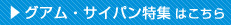 �O�A���E�T�C�p�����W�͂�����
