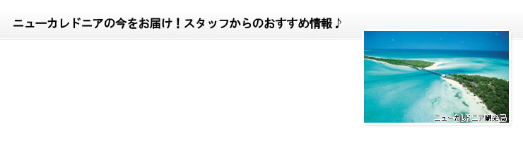 ニューカレドニアの今をお届け!スタッフからのおすすめ情報♪