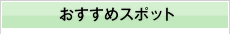 �������߃X�|�b�g