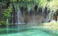 �v���g�r�b�`�F�ΌQ���������̃C���[�W