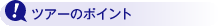 �c�A�[�̃|�C���g
