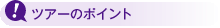 �c�A�[�̃|�C���g