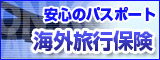 �C�O���s�ی�