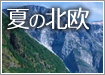 夏の北欧特集