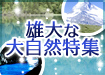 �C���[�W