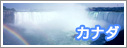 �΂��萁���I�t�J�i�_