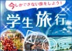 学生旅行