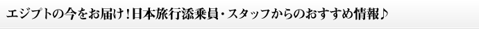 �G�W�v�g�̍������͂��I���{���s�Y����E�X�^�b�t����̂������ߏ���