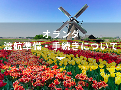 オランダ渡航準備・手続きについて