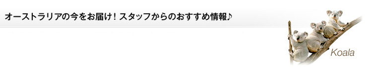 ニュージーランドの今をお届け!スタッフからのおすすめ情報♪