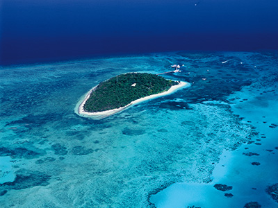 グレードバリアリーフ「世界最大の珊瑚礁地帯」