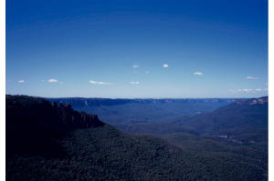 ブルーマウンテンズ