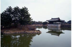 雁鴨池