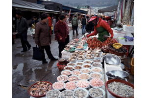 チャガルチ市場