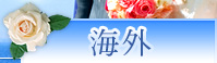 �C�O
