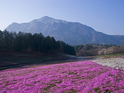 埼玉県