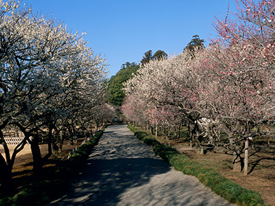 茨城県