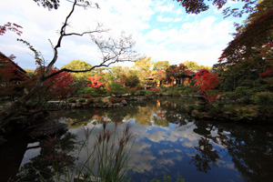 奈良市依水園
