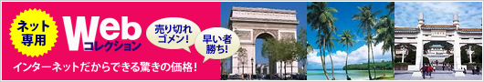 ネット専用　Webコレクション
