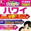 ふぁみバケ ハワイ