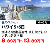 ハワイ 5・6日