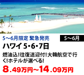 ハワイ 5・6・7日