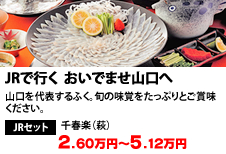 JR�ōs���@�����ł܂��R����