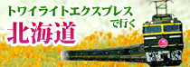 �g���C���C�g�G�N�X�v���X�ōs���k�C��